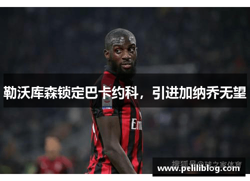 勒沃库森锁定巴卡约科，引进加纳乔无望
