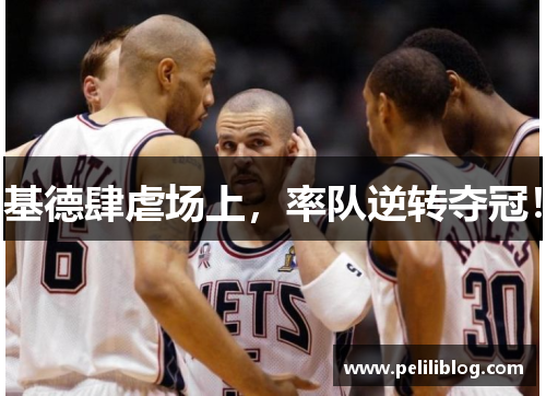 基德肆虐场上，率队逆转夺冠！